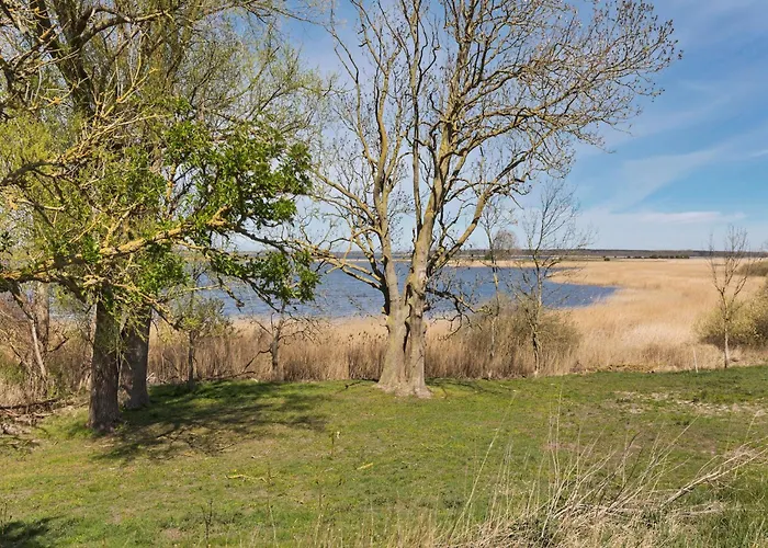Cozy Escape Near The Baltic * Gingst