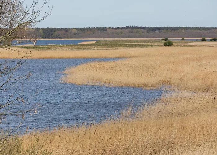 Διαμέρισμα Cozy Escape Near The Baltic *